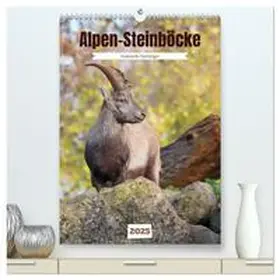 CALVENDO / Löwer |  Alpen-Steinböcke, imposante Hornträger (hochwertiger Premium Wandkalender 2025 DIN A2 hoch), Kunstdruck in Hochglanz | Sonstiges |  Sack Fachmedien
