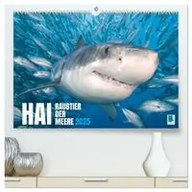 CALVENDO |  Hai: Raubtier der Meere (hochwertiger Premium Wandkalender 2025 DIN A2 quer), Kunstdruck in Hochglanz | Sonstiges |  Sack Fachmedien