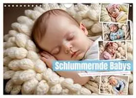 CALVENDO / Lehmann |  Schlummernde Babys (Wandkalender 2025 DIN A4 quer), CALVENDO Monatskalender | Sonstiges |  Sack Fachmedien