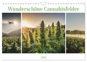 CALVENDO / Hinz |  Wunderschöne Cannabisfelder (Wandkalender 2025 DIN A4 quer), CALVENDO Monatskalender | Sonstiges |  Sack Fachmedien