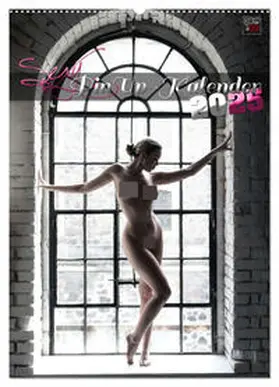 CALVENDO / DREAMPIXX |  Sexy PinUp-Kalender 2025 (Wandkalender 2025 DIN A2 hoch), CALVENDO Monatskalender | Sonstiges |  Sack Fachmedien