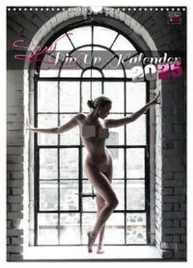 CALVENDO / DREAMPIXX |  Sexy PinUp-Kalender 2025 (Wandkalender 2025 DIN A3 hoch), CALVENDO Monatskalender | Sonstiges |  Sack Fachmedien