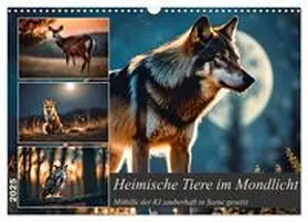 CALVENDO / Kleemann |  Heimische Tiere im Mondlicht (Wandkalender 2025 DIN A3 quer), CALVENDO Monatskalender | Sonstiges |  Sack Fachmedien