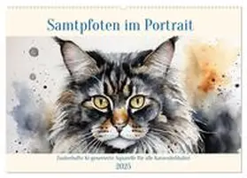 CALVENDO / Kleemann |  Samtpfoten im Portrait (Wandkalender 2025 DIN A2 quer), CALVENDO Monatskalender | Sonstiges |  Sack Fachmedien