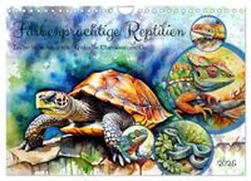 CALVENDO / Kleemann |  Farbenprächtige Reptilien (Wandkalender 2025 DIN A4 quer), CALVENDO Monatskalender | Sonstiges |  Sack Fachmedien