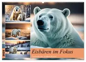 CALVENDO / Kleemann |  Eisbären im Fokus (Wandkalender 2025 DIN A2 quer), CALVENDO Monatskalender | Sonstiges |  Sack Fachmedien