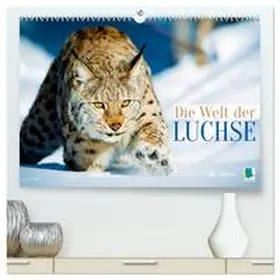 CALVENDO |  Die Welt der Luchse (hochwertiger Premium Wandkalender 2025 DIN A2 quer), Kunstdruck in Hochglanz | Sonstiges |  Sack Fachmedien