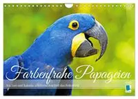 CALVENDO |  Farbenfrohe Papageien (Wandkalender 2025 DIN A4 quer), CALVENDO Monatskalender | Sonstiges |  Sack Fachmedien