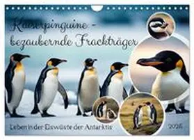 CALVENDO / Kleemann |  Kaiserpinguine - bezaubernde Frackträger (Wandkalender 2025 DIN A4 quer), CALVENDO Monatskalender | Sonstiges |  Sack Fachmedien