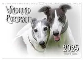 CALVENDO / Redecker |  Windhund Portrait 2025 White Edition (Wandkalender 2025 DIN A4 quer), CALVENDO Monatskalender | Sonstiges |  Sack Fachmedien