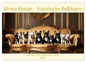 CALVENDO / Kleemann |  Kleine Könige - Französische Bulldoggen (Wandkalender 2025 DIN A2 quer), CALVENDO Monatskalender | Sonstiges |  Sack Fachmedien