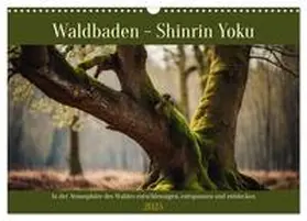 CALVENDO / Kleemann |  Waldbaden - Shinrin Yoku (Wandkalender 2025 DIN A3 quer), CALVENDO Monatskalender | Sonstiges |  Sack Fachmedien
