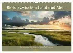 CALVENDO / Tapper |  Biotop zwischen Land und Meer (Wandkalender 2025 DIN A3 quer), CALVENDO Monatskalender | Sonstiges |  Sack Fachmedien