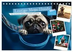 CALVENDO / HollywayArt |  Lustige Mops-Hunde: Die charmanten Meister von Chaos und Unfug (Tischkalender 2025 DIN A5 quer), CALVENDO Monatskalender | Sonstiges |  Sack Fachmedien