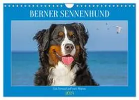 CALVENDO / Starick |  Berner Sennenhund - Ein Freund auf vier Pfoten (Wandkalender 2025 DIN A4 quer), CALVENDO Monatskalender | Sonstiges |  Sack Fachmedien