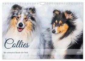 CALVENDO / Starick |  Collies - die schönsten Hunde der Welt (Wandkalender 2025 DIN A4 quer), CALVENDO Monatskalender | Sonstiges |  Sack Fachmedien