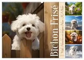CALVENDO / Löwer | Bichon frisé, weiße Hündchen mit lockigem Haar (Wandkalender 2025 DIN A2 quer), CALVENDO Monatskalender | Sonstiges | 978-3-383-84439-3 | www.sack.de