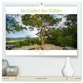 CALVENDO / A. R. Langlotz | Im Zauber der Wälder (hochwertiger Premium Wandkalender 2025 DIN A2 quer), Kunstdruck in Hochglanz | Sonstiges | 978-3-383-84440-9 | www.sack.de