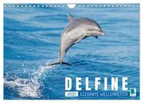 CALVENDO |  Delfine: Elegante Wellenreiter (Wandkalender 2025 DIN A4 quer), CALVENDO Monatskalender | Sonstiges |  Sack Fachmedien