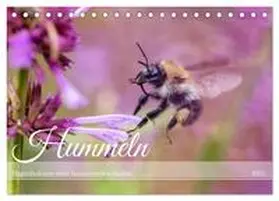 CALVENDO / Müller |  Hummeln - Flugaufnahmen eines faszinierenden Insekts (Tischkalender 2025 DIN A5 quer), CALVENDO Monatskalender | Sonstiges |  Sack Fachmedien