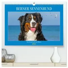 CALVENDO / Starick |  Berner Sennenhund - Ein Freund auf vier Pfoten (hochwertiger Premium Wandkalender 2025 DIN A2 quer), Kunstdruck in Hochglanz | Sonstiges |  Sack Fachmedien