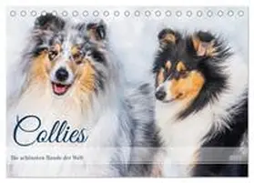 CALVENDO / Starick |  Collies - die schönsten Hunde der Welt (Tischkalender 2025 DIN A5 quer), CALVENDO Monatskalender | Sonstiges |  Sack Fachmedien
