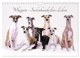 CALVENDO / Hofmann |  Whippets - Seelenhunde fürs Leben (Wandkalender 2025 DIN A4 quer), CALVENDO Monatskalender | Sonstiges |  Sack Fachmedien