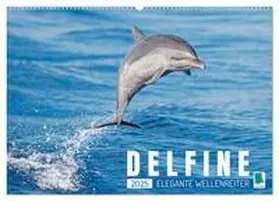 CALVENDO |  Delfine: Elegante Wellenreiter (Wandkalender 2025 DIN A2 quer), CALVENDO Monatskalender | Sonstiges |  Sack Fachmedien