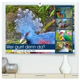 CALVENDO / Kleemann |  Wer gurrt denn da? (hochwertiger Premium Wandkalender 2025 DIN A2 quer), Kunstdruck in Hochglanz | Sonstiges |  Sack Fachmedien