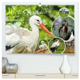 CALVENDO / Kleemann |  Meister Adebar und seine Verwandten (hochwertiger Premium Wandkalender 2025 DIN A2 quer), Kunstdruck in Hochglanz | Sonstiges |  Sack Fachmedien