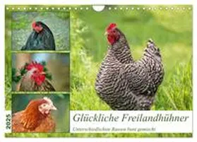 CALVENDO / Kleemann |  Glückliche Freilandhühner (Wandkalender 2025 DIN A4 quer), CALVENDO Monatskalender | Sonstiges |  Sack Fachmedien