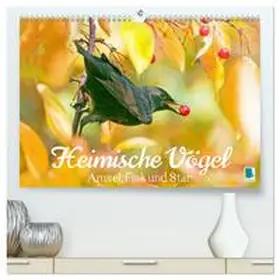 CALVENDO |  Amsel, Fink und Star: Heimische Vögel (hochwertiger Premium Wandkalender 2025 DIN A2 quer), Kunstdruck in Hochglanz | Sonstiges |  Sack Fachmedien