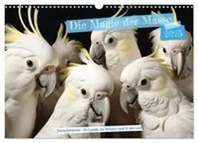 CALVENDO / Tapper |  Die Magie der Masse (Wandkalender 2025 DIN A3 quer), CALVENDO Monatskalender | Sonstiges |  Sack Fachmedien