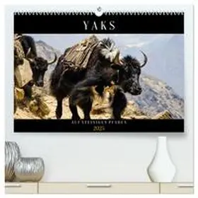 CALVENDO / Utz |  Yaks - auf steinigen Pfaden (hochwertiger Premium Wandkalender 2025 DIN A2 quer), Kunstdruck in Hochglanz | Sonstiges |  Sack Fachmedien