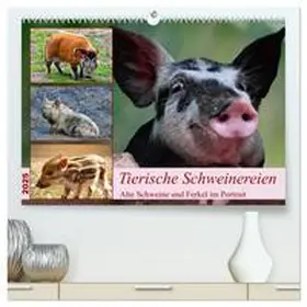 CALVENDO / Kleemann |  Tierische Schweinereien (hochwertiger Premium Wandkalender 2025 DIN A2 quer), Kunstdruck in Hochglanz | Sonstiges |  Sack Fachmedien