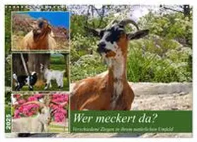 CALVENDO / Kleemann |  Wer meckert da? (Wandkalender 2025 DIN A3 quer), CALVENDO Monatskalender | Sonstiges |  Sack Fachmedien