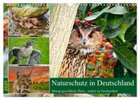CALVENDO / Kleemann |  Naturschutz in Deutschland (Wandkalender 2025 DIN A3 quer), CALVENDO Monatskalender | Sonstiges |  Sack Fachmedien
