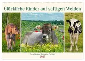 CALVENDO / Kleemann |  Glückliche Rinder auf saftigen Weiden (Wandkalender 2025 DIN A2 quer), CALVENDO Monatskalender | Sonstiges |  Sack Fachmedien