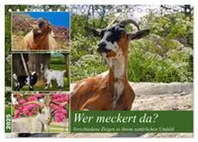 CALVENDO / Kleemann |  Wer meckert da? (Tischkalender 2025 DIN A5 quer), CALVENDO Monatskalender | Sonstiges |  Sack Fachmedien