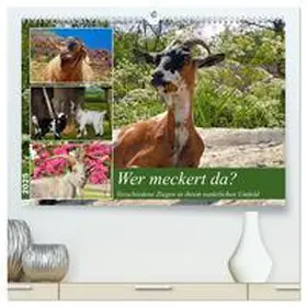 CALVENDO / Kleemann |  Wer meckert da? (hochwertiger Premium Wandkalender 2025 DIN A2 quer), Kunstdruck in Hochglanz | Sonstiges |  Sack Fachmedien