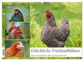 CALVENDO / Kleemann |  Glückliche Freilandhühner (Wandkalender 2025 DIN A2 quer), CALVENDO Monatskalender | Sonstiges |  Sack Fachmedien