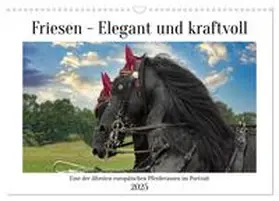 CALVENDO / Kleemann |  Friesen - elegant und kraftvoll (Wandkalender 2025 DIN A3 quer), CALVENDO Monatskalender | Sonstiges |  Sack Fachmedien