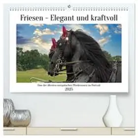 CALVENDO / Kleemann |  Friesen - elegant und kraftvoll (hochwertiger Premium Wandkalender 2025 DIN A2 quer), Kunstdruck in Hochglanz | Sonstiges |  Sack Fachmedien