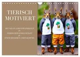 CALVENDO / Siebler-Ferry |  Tierisch motiviert (Wandkalender 2025 DIN A4 quer), CALVENDO Monatskalender | Sonstiges |  Sack Fachmedien