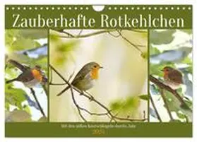CALVENDO / Löwer | Zauberhafte Rotkehlchen (Wandkalender 2025 DIN A4 quer), CALVENDO Monatskalender | Sonstiges | 978-3-383-91517-8 | www.sack.de