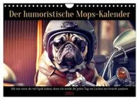 CALVENDO / Rübsamen |  Der humoristische Mops-Kalender (Wandkalender 2025 DIN A4 quer), CALVENDO Monatskalender | Sonstiges |  Sack Fachmedien