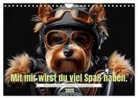 CALVENDO / Rübsamen |  Der humoristische Yorkshire Terrier Kalender (Wandkalender 2025 DIN A4 quer), CALVENDO Monatskalender | Sonstiges |  Sack Fachmedien