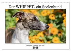 CALVENDO / Hofmann |  Der Whippet - ein Seelenhund (Wandkalender 2025 DIN A3 quer), CALVENDO Monatskalender | Sonstiges |  Sack Fachmedien