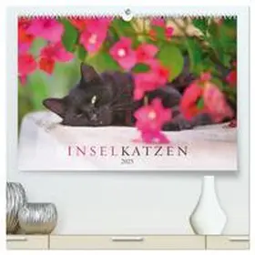 CALVENDO / Krutz |  Inselkatzen (hochwertiger Premium Wandkalender 2025 DIN A2 quer), Kunstdruck in Hochglanz | Sonstiges |  Sack Fachmedien