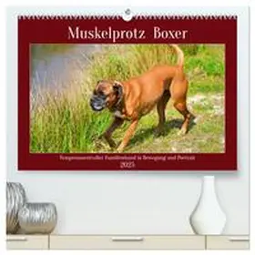 CALVENDO / Kleemann |  Muskelprotz Boxer (hochwertiger Premium Wandkalender 2025 DIN A2 quer), Kunstdruck in Hochglanz | Sonstiges |  Sack Fachmedien